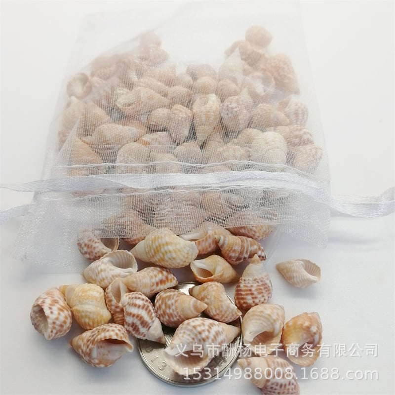 Трансгранични горещи продажби - 50 г естествени миди и просо охлюви „Направи си сам“ бутилка за дрифт, материал за океански бутилки, декорация на аквариум