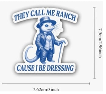 Autocolante auto transfrontaliere, personalizate, creative și amuzante – gândește-te de două ori înainte să cumperi, pentru că nu știu cum să decorez sloganuri.