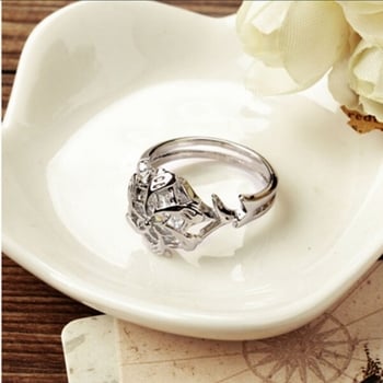 Трансграничен пръстен Хуаджие Уиш, европейски и американски филм и телевизия Елф Воден пръстен, Воден пръстен, Южна Азия Карантрил пръстен