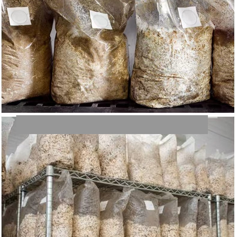 Προμηθευτής τσαντών καλλιέργειας μανιταριών 50 τεμάχια χονδρικής, αναπνεύσιμες σακούλες πλήρους οξυγόνου, σακούλες καλλιέργειας, σακούλες μανιταριών ανθεκτικές σε υψηλές θερμοκρασίες, τετράγωνες σακούλες, σακούλες καλλιέργειας ιστών.