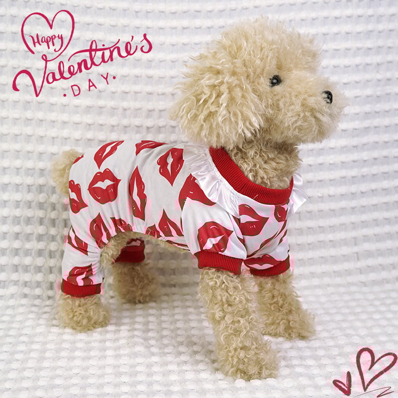 Nova odjeća za male i srednje pse, odjeća za četveronožne ljubimce, kućni topovi, odjeća za pse, traženi artikli iz inozemstva.