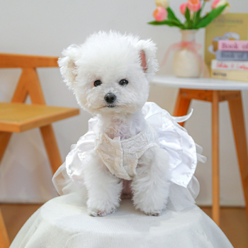 Haine de primăvară/vară pentru câini și pisici, fustă de balet Moonlight