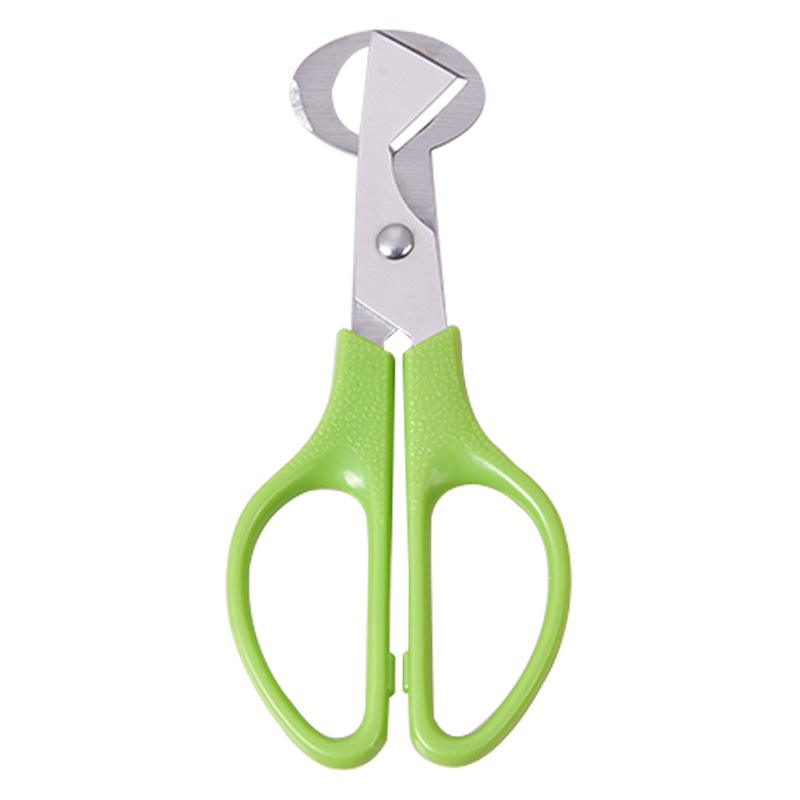 Praktické kuchynské náčinie: nože z nehrdzavejúcej ocele na prepeličie a slepačie vajcia, nové nástroje na leštenie vtáčích vajec.