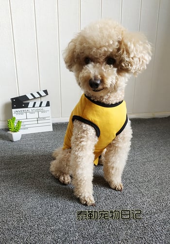 Plüss kutyaruhák, hasvédő, négylábú mellény, elválasztás/ivartalanítás utáni ápolóruhák szukáknak, karcsú modell