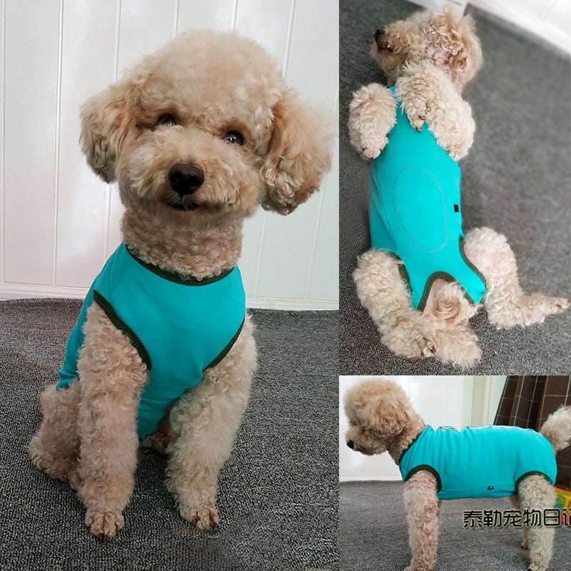 Plüss kutyaruhák, hasvédő, négylábú mellény, elválasztás/ivartalanítás utáni ápolóruhák szukáknak, karcsú modell