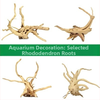 Sada dekoračných prvkov pre akvárium: potopené drevo, koreň azálie, mach a vodné rastliny