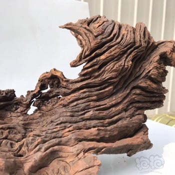 Аквариумна декорация: кореново дърво от лилаво тиково дърво, потънало дърво, дървен стълб