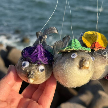 Specimene naturale de viață marină și scoici decorative – colecție de pandantive cu scoici uriașe pentru decor de peisaj