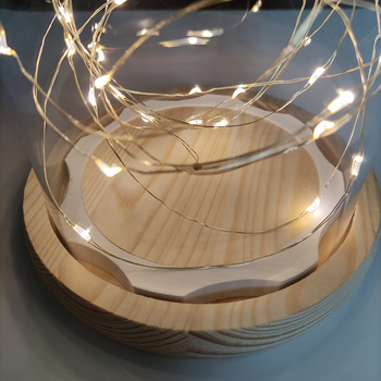 Стъклен купол за вечни цветя с LED нишка — прозрачна декоративна витрина