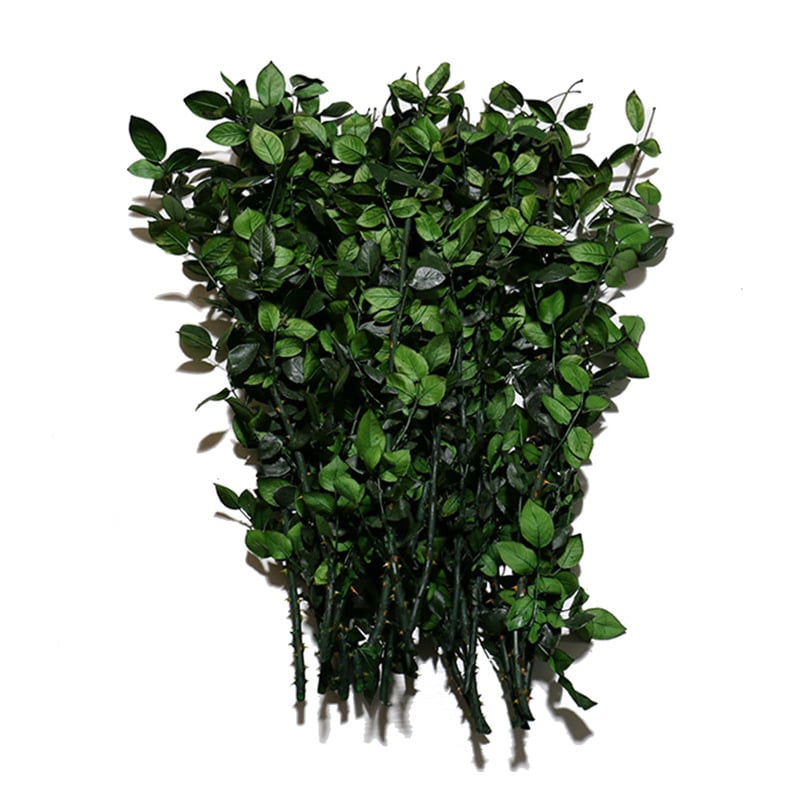 Безсмъртни розови клонки дълги 60–70 cm, стъклен купол Малкият принц, материал за аранжиране на цветя DIY