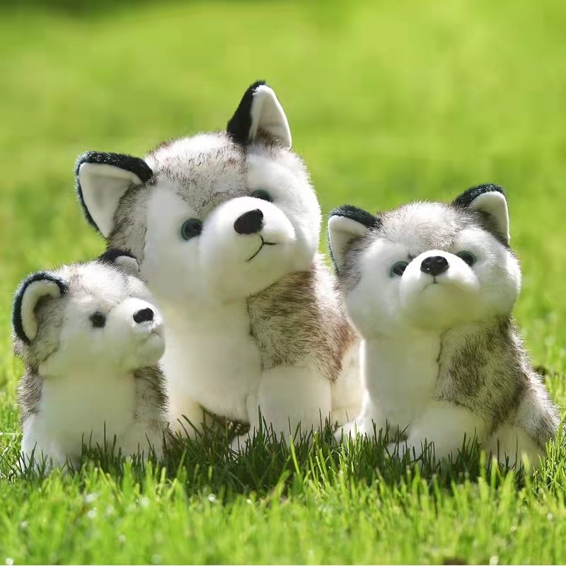 Kreativna plišana igračka Husky za djecu i djevojčice