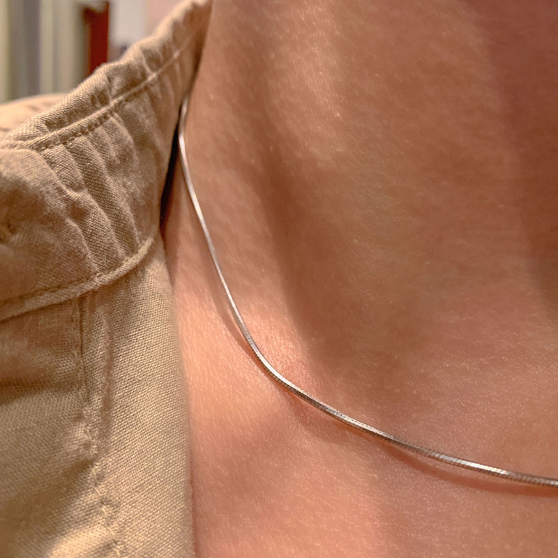 Minimalistička ogrlica s lancem od zmijske kosti, unisex, korejski stil, kratka dužina za ključnu kost, europsko-američki trend