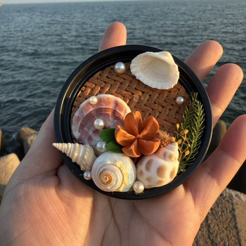 Prírodná mušľová škrupina, magnet na chladničku, dekoratívny cestovný suvenír