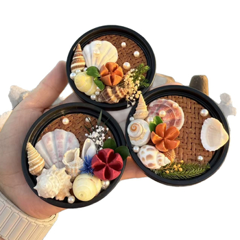 Prírodná mušľová škrupina, magnet na chladničku, dekoratívny cestovný suvenír