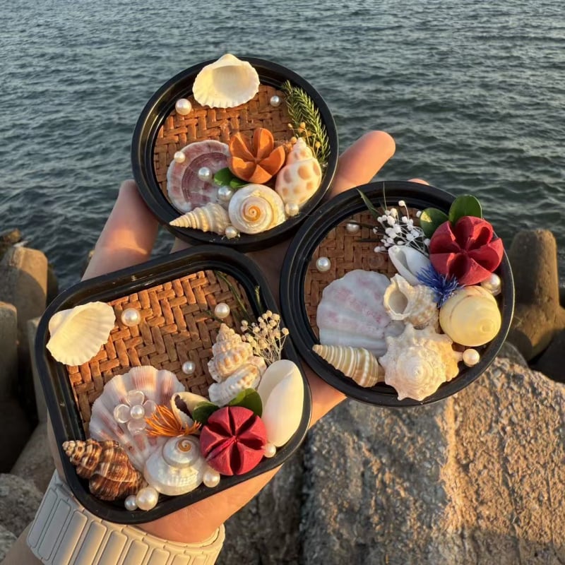 Prírodná mušľová škrupina, magnet na chladničku, dekoratívny cestovný suvenír