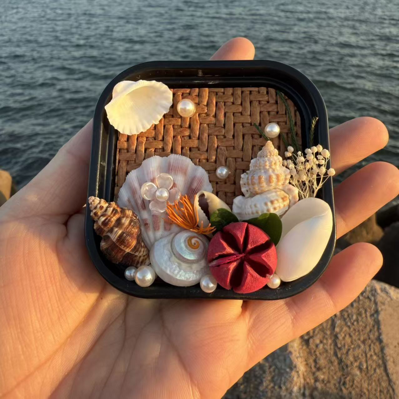 Prírodná mušľová škrupina, magnet na chladničku, dekoratívny cestovný suvenír