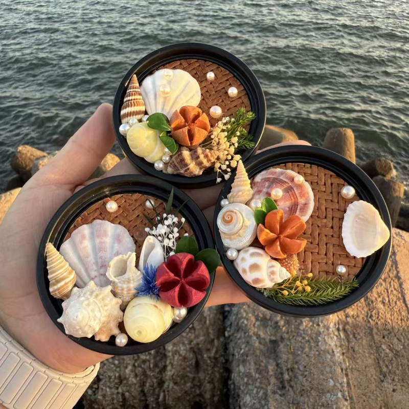 Prírodná mušľová škrupina, magnet na chladničku, dekoratívny cestovný suvenír