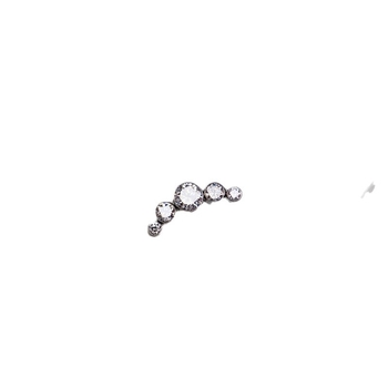 Pet dijamantnih naušnica od titan čelika, s vijkom straga, 1,2 mm