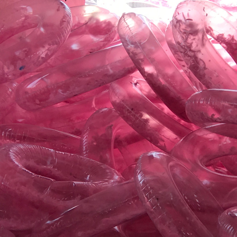 Прозрачен плувен пръстен за възрастни, дебел PVC, розово пера