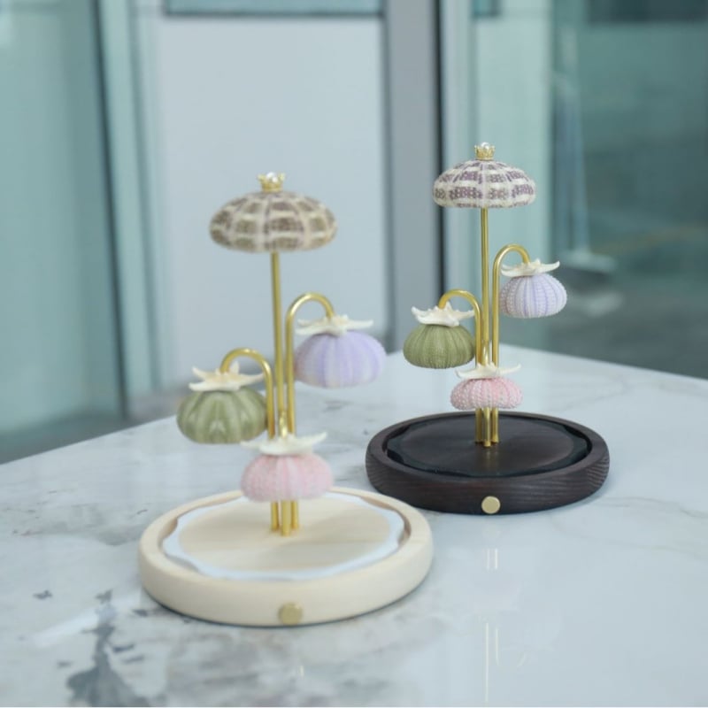 Accesorii pentru lampă de noapte cu arici de mare și scoică, bază luminoasă, accesorii din sticlă cu flori conservate