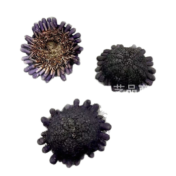 Arici de mare în formă de coif și scoică conică naturală, dimensiune aproximativă 6-9 cm, specimen pentru colecție, decor mov