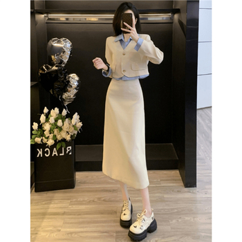 Ženski kostim s suknjom i sakoom za jesen, korejski stil, elegantan izgled