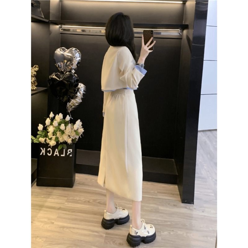 Ženski kostim s suknjom i sakoom za jesen, korejski stil, elegantan izgled
