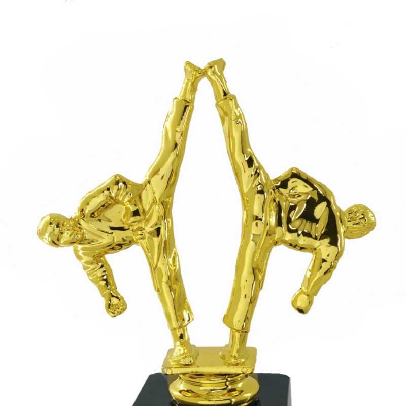 SPORT kreativni trofej za sportske događaje: ples, košarka, taekwondo – za učenike i odrasle