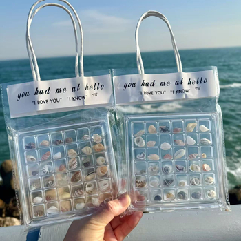 Coajă naturală de scoică mică și stea de mare — cutie de depozitare din acrilic, transparentă