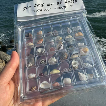 Coajă naturală de scoică mică și stea de mare — cutie de depozitare din acrilic, transparentă