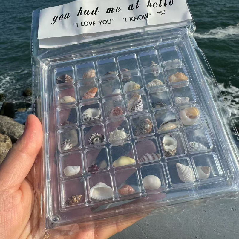 Coajă naturală de scoică mică și stea de mare — cutie de depozitare din acrilic, transparentă