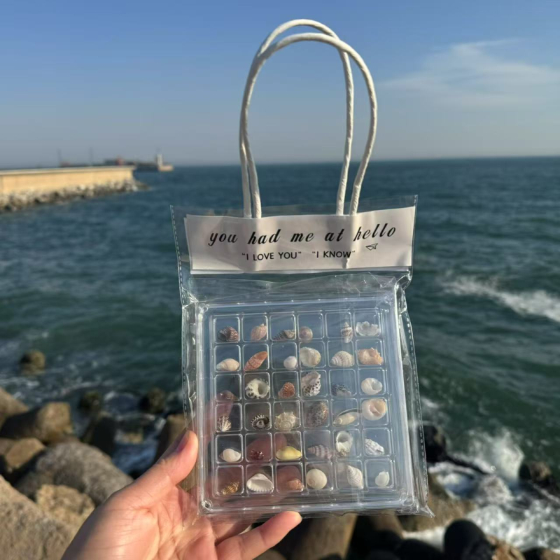 Coajă naturală de scoică mică și stea de mare — cutie de depozitare din acrilic, transparentă
