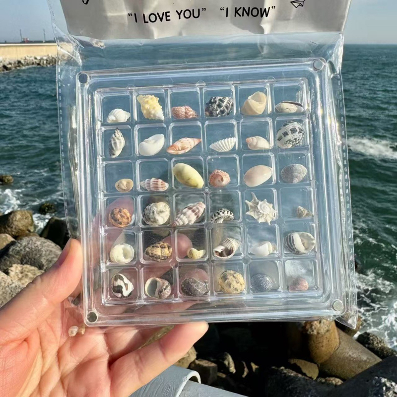 Coajă naturală de scoică mică și stea de mare — cutie de depozitare din acrilic, transparentă