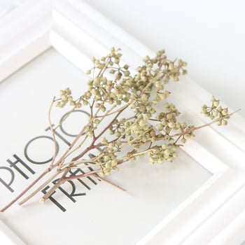 Υλικά DIY διατηρημένων λουλουδιών με star anise και millet seeds για στεφάνι με γυάλινο θόλο