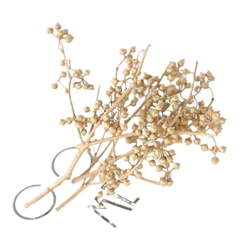 Υλικά DIY διατηρημένων λουλουδιών με star anise και millet seeds για στεφάνι με γυάλινο θόλο