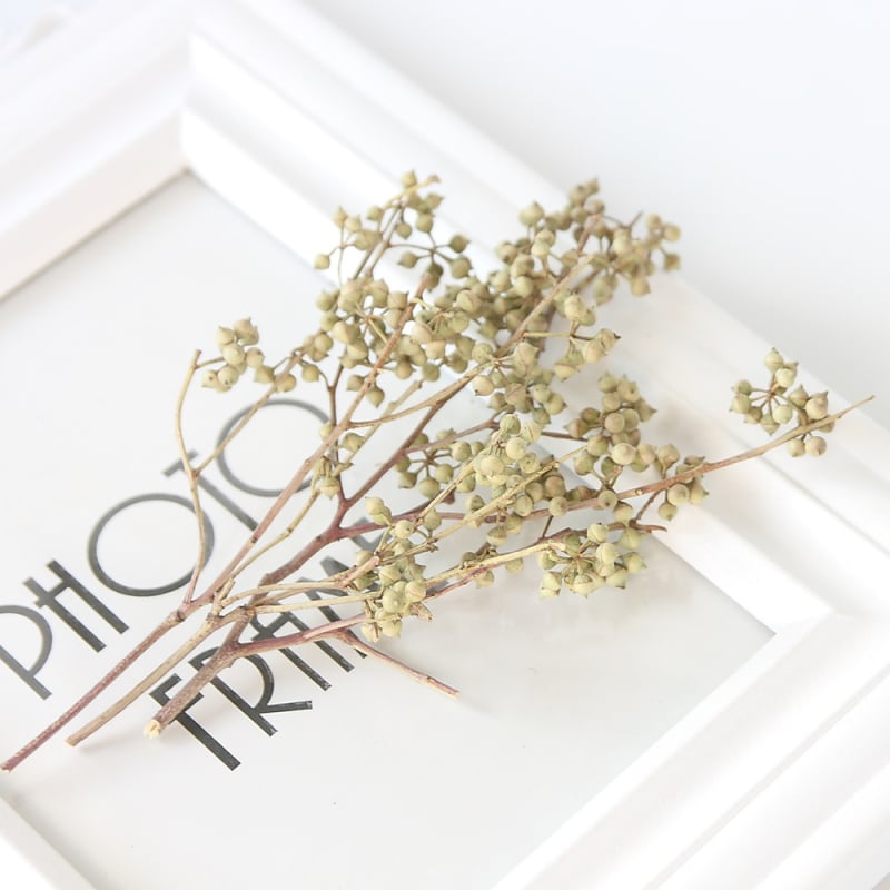 Υλικά DIY διατηρημένων λουλουδιών με star anise και millet seeds για στεφάνι με γυάλινο θόλο