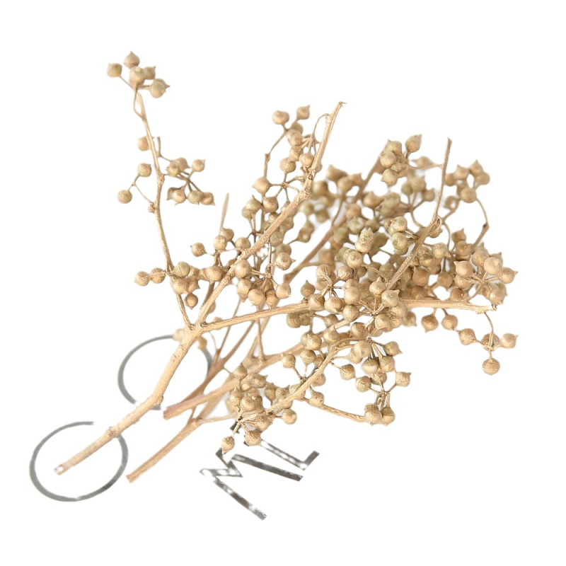 Υλικά DIY διατηρημένων λουλουδιών με star anise και millet seeds για στεφάνι με γυάλινο θόλο