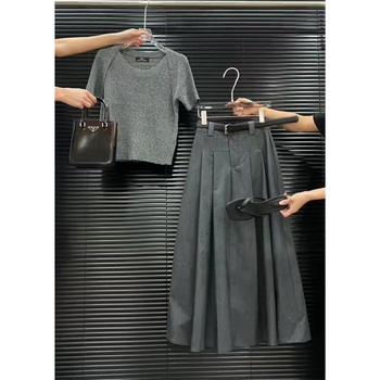Set topa i suknje, europski stil, vitka silueta, elegantno poslovno odijevanje
