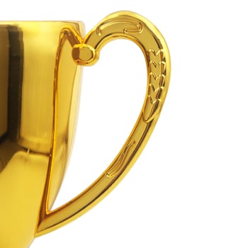 Magnolija trofeja, mini trofeja za učenike osnovnih i srednjih škola, nagrada za vrtić