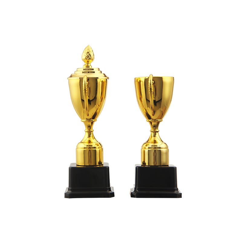Magnolija trofeja, mini trofeja za učenike osnovnih i srednjih škola, nagrada za vrtić