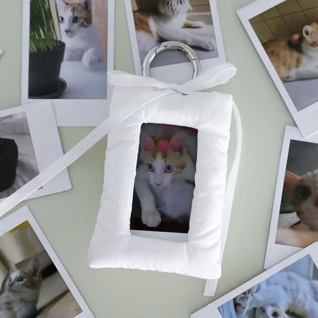 Minimalistički jednobojni držač kartica od 3 inča, album za pohranu kartica i okvir za fotografije Polaroid
