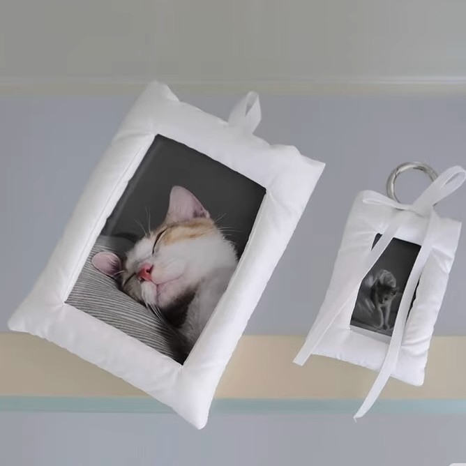 Minimalistički jednobojni držač kartica od 3 inča, album za pohranu kartica i okvir za fotografije Polaroid