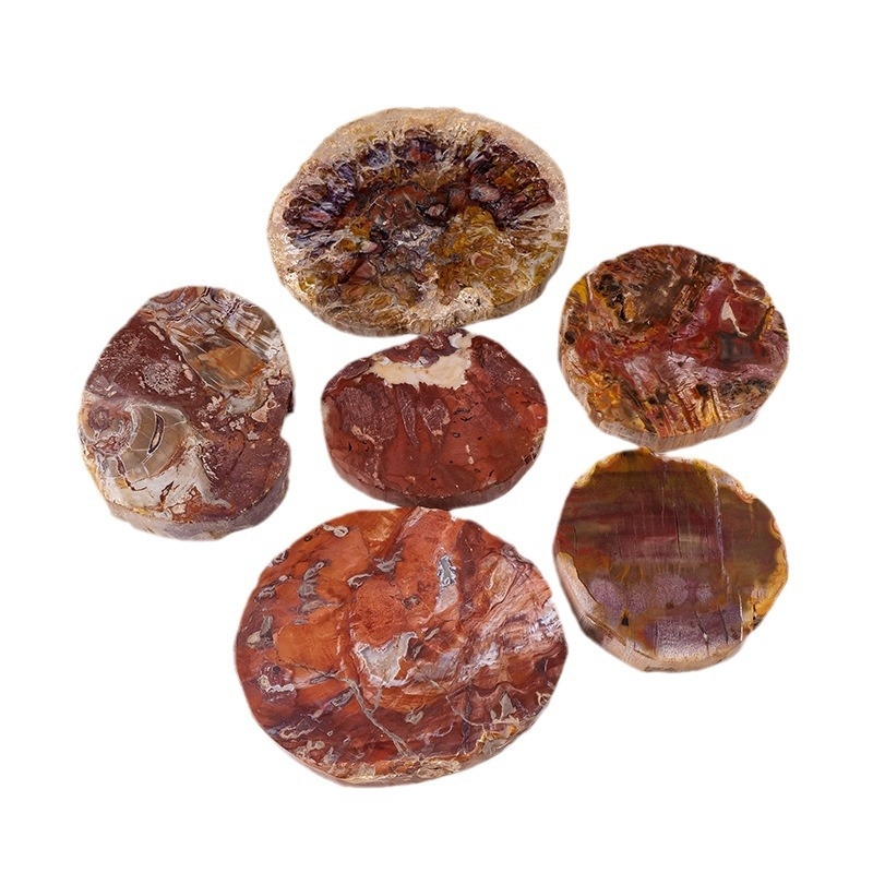 Prirodno fosilno drvo s Madagaskara, ploče za izložbu i zbirku; minerali s jade nalikim izgledom, pogodna za podmetače za čaše