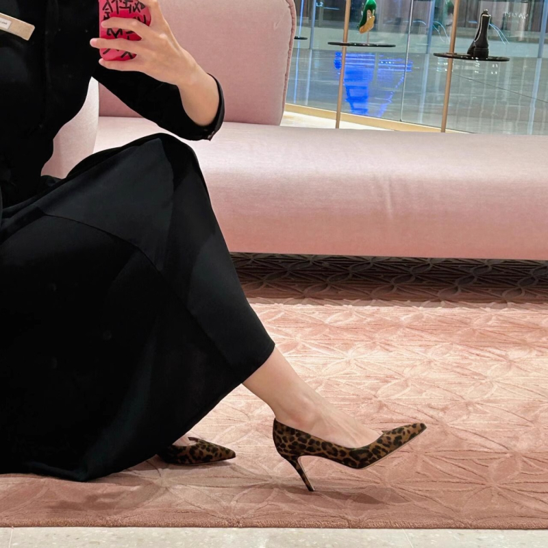 Cipele na visoku petu s francuskog stila i leopard uzorkom, špičast nos, tanak potpetica, 2026 novi model, jednostavan i elegantan, savršeno uz haljinu