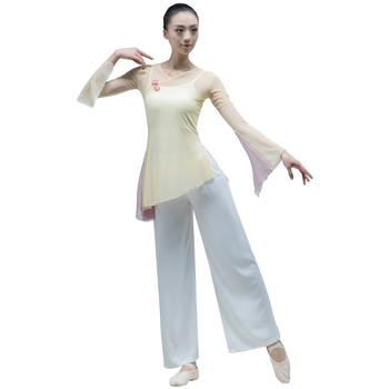 Ženski plesni top od elastične mrežaste tkanine – za klasični, narodni i moderni ples, lagani top za probe i nastupe