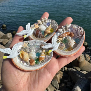 Magnet de frigider din cochilie – suvenir cultural și creativ, cadou de litoral