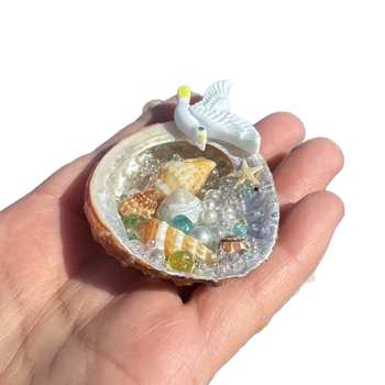 Magnet de frigider din cochilie – suvenir cultural și creativ, cadou de litoral
