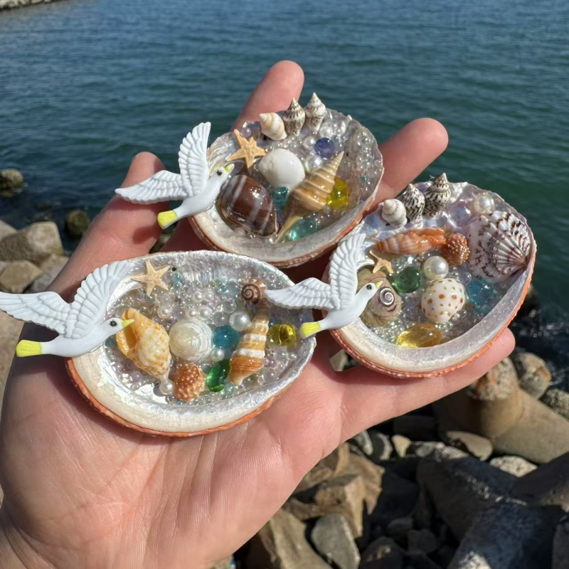 Magnet de frigider din cochilie – suvenir cultural și creativ, cadou de litoral