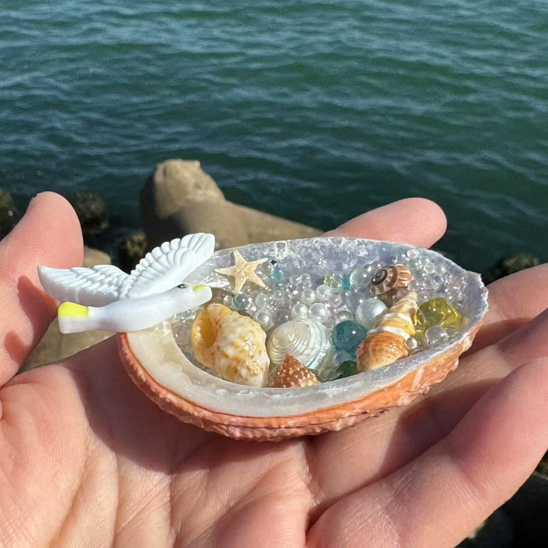 Magnet de frigider din cochilie – suvenir cultural și creativ, cadou de litoral