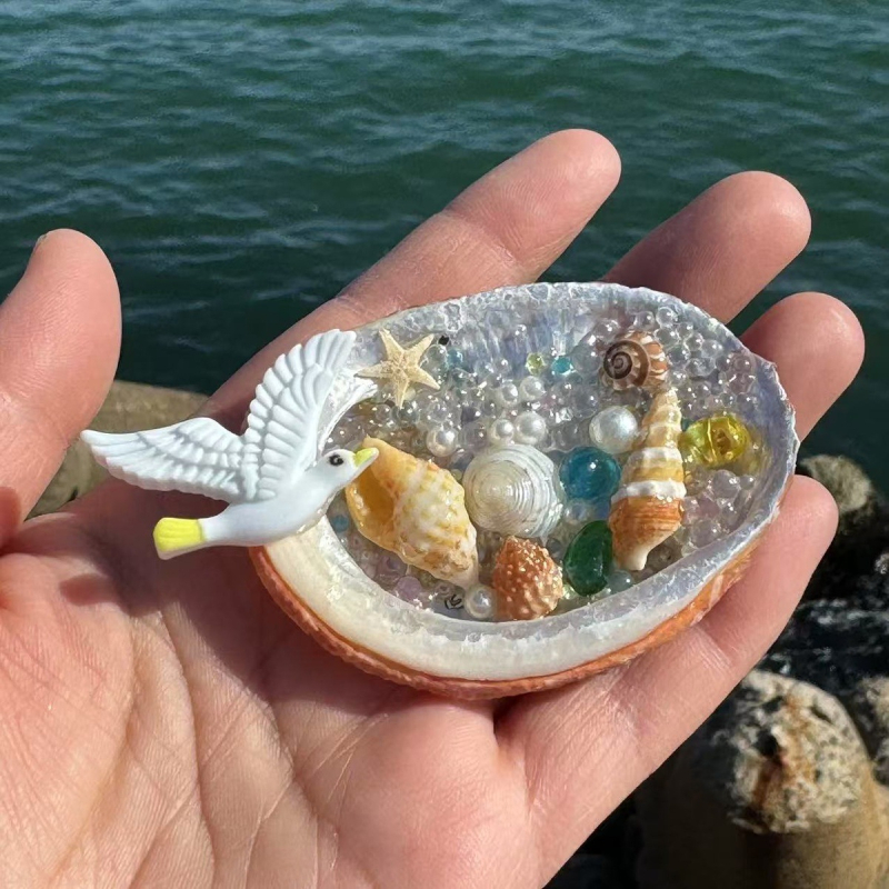 Magnet de frigider din cochilie – suvenir cultural și creativ, cadou de litoral